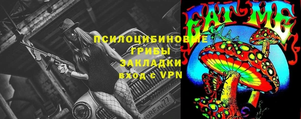 сатива Надым
