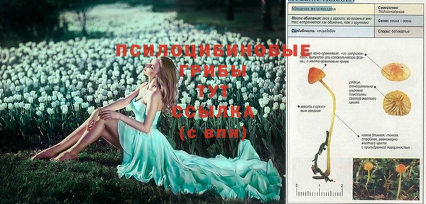 тгк Сковородино