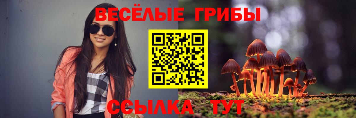 Югорск  Псилоцибиновые грибы мухоморы  Вход с VPN 