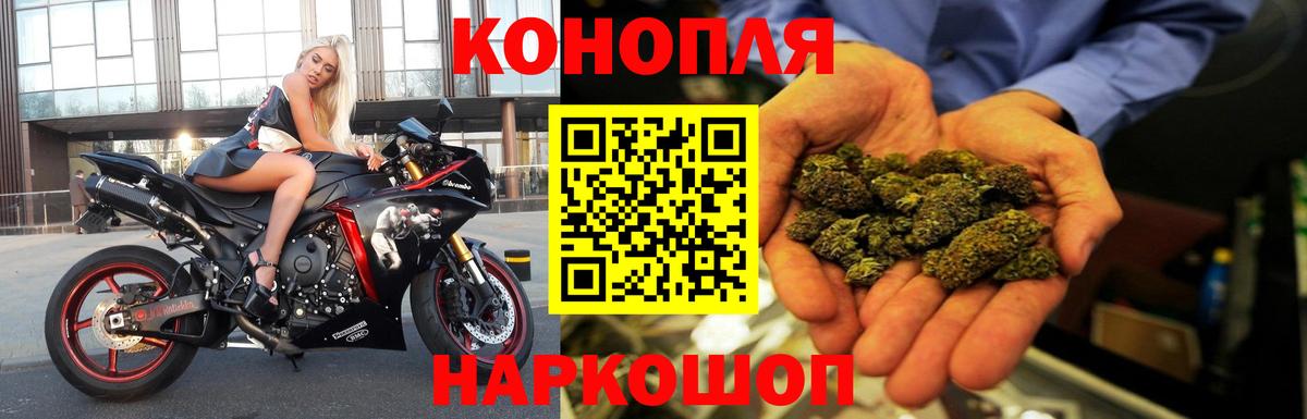 Шишки марихуана конопля  Конопля конопля  Бошки марихуана планчик  Бошки марихуана White Widow  Югорск 